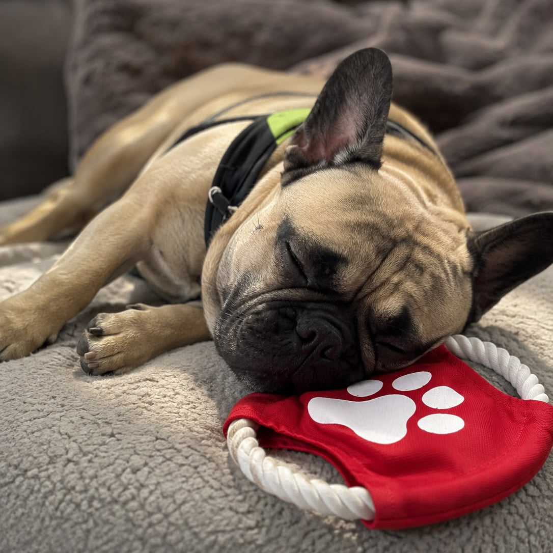 Freesbee Textil pentru Câini cu Mânere din Sfoară – Rezistent, Interactiv și Perfect pentru Joacă în Aer Liber. - UrbanPetShop