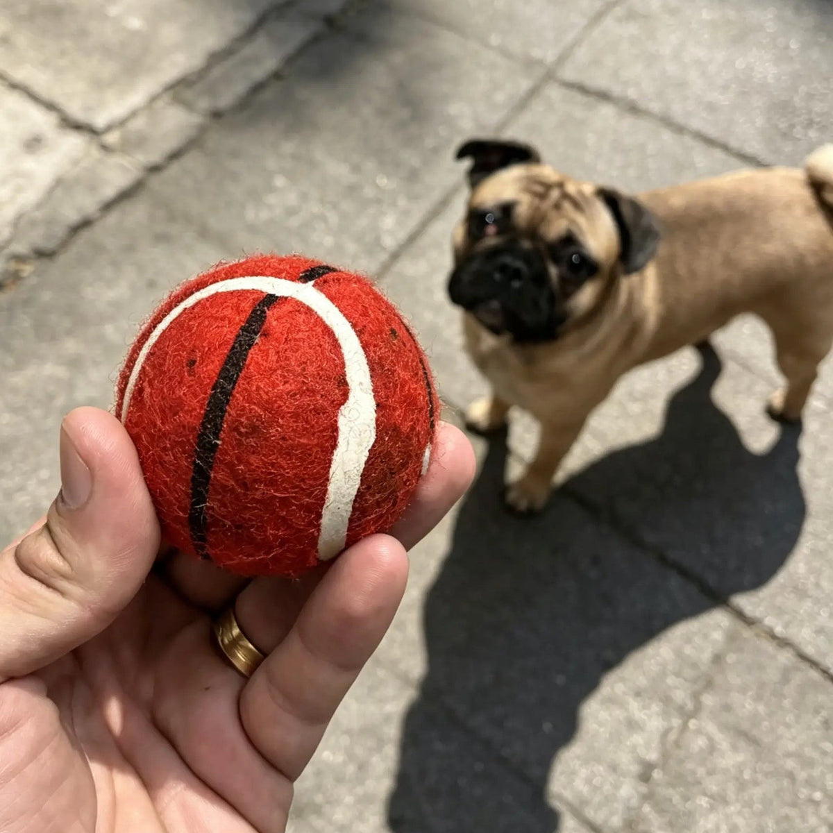 Minge roșie de baschet pentru câini, ținută în mână, cu Bruno în fundal - UrbanPetShop