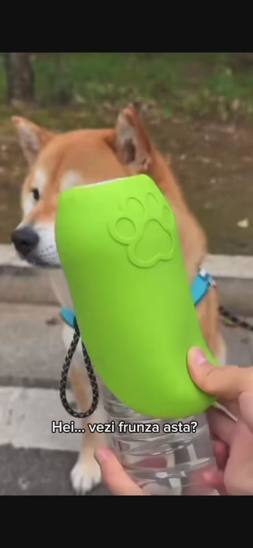 Dispenser universal portabil de apă pentru animale